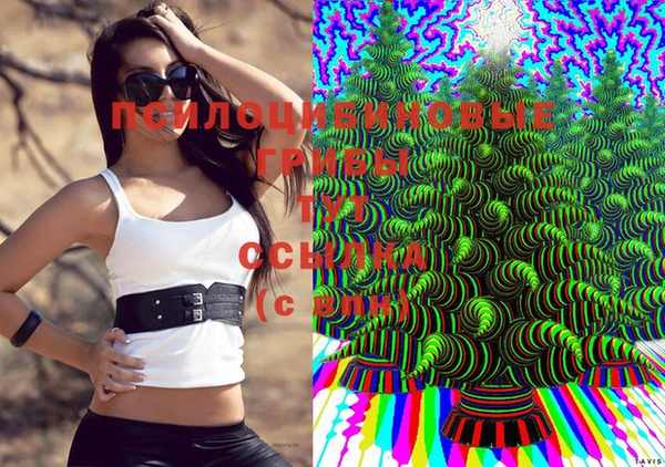 спиды Верхний Тагил