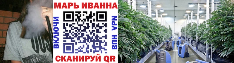 Бошки марихуана THC 21%  Динская 